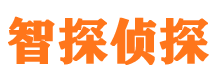 湘乡市私家侦探